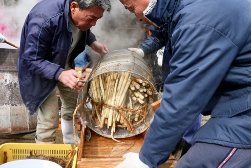 ごぼう講 ゴボウ ゆで上げ