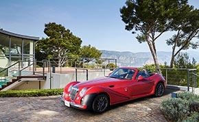 ロングノーズが美しい