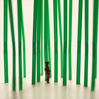 MINIATURE LIFE展