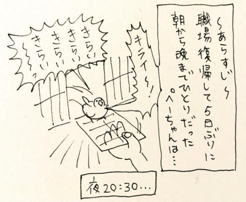 ぺーちゃん1