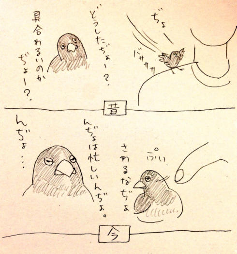 んじょさん