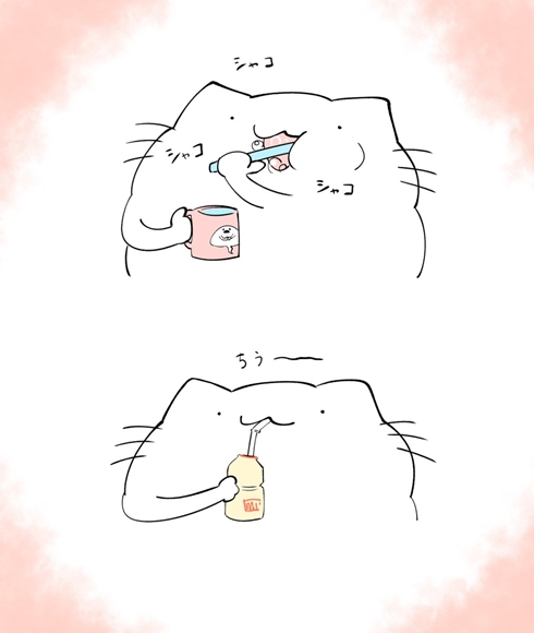 歯磨き粉 ライオン 花王 取材 からめる