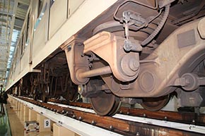 ここぞとばかりに下を覗く