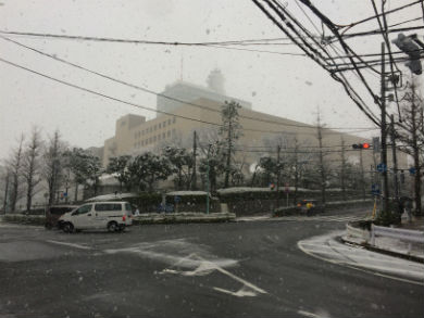 東大ラノベ作家の悲劇