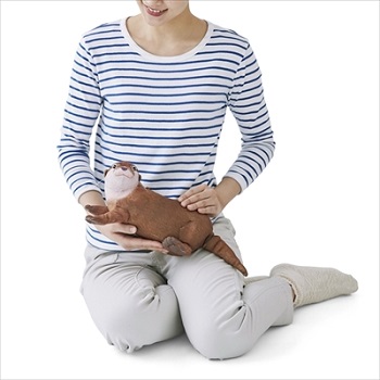 カワウソポーチ