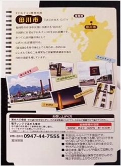 チロルチョコ入りカレー