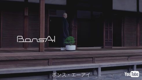 BonsAI