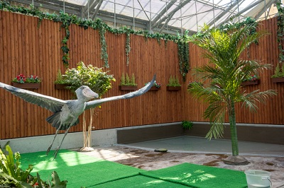 掛川花鳥園　ハシビロコウ