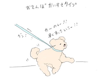 ワンコの散歩タイプ