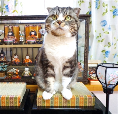 なめネコれおくんピーチくん