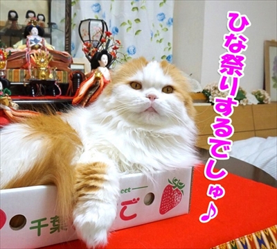 なめネコれおくんピーチくん