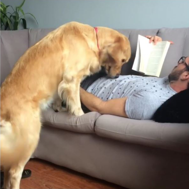 Cristiane Moraes Squarisi