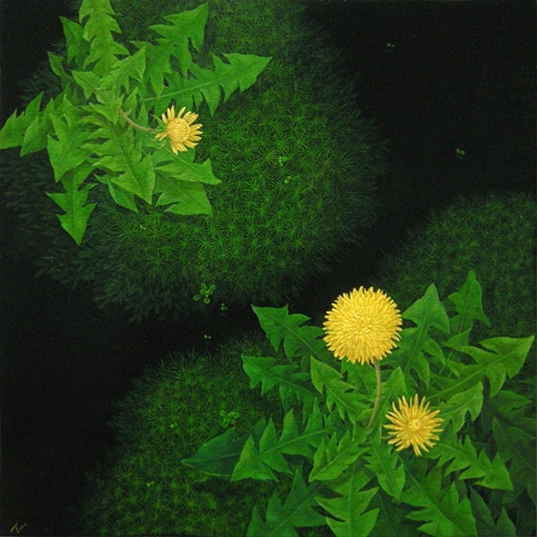 苔 こけ 今津奈鶴子 Twitter まんが 漫画