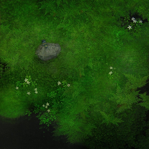 苔 こけ 今津奈鶴子 Twitter まんが 漫画