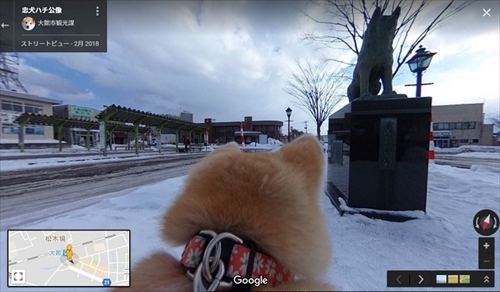 秋田犬目線のストリートビュー