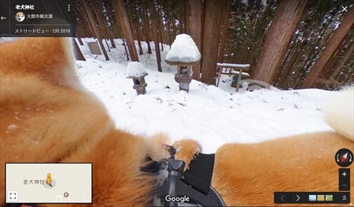 秋田犬目線のストリートビュー