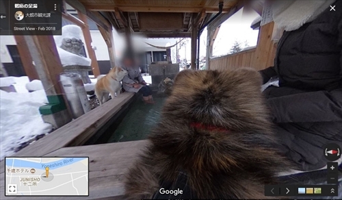 秋田犬目線のストリートビュー