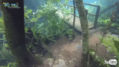 水中ハイキング