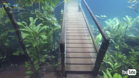水中ハイキング