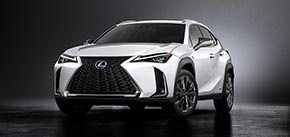 LEXUS UX250h "F SPORT"