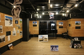 旅猫ニャン吉写真展