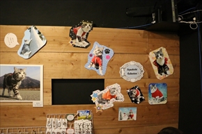 旅猫ニャン吉写真展