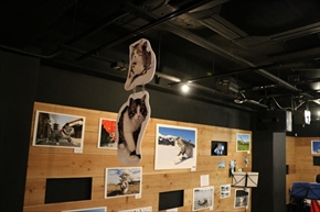 旅猫ニャン吉写真展