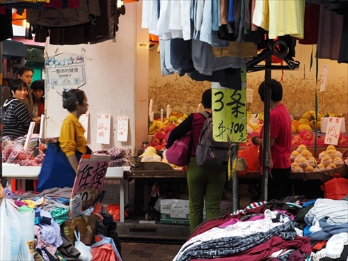 岩合光昭の世界ネコさがし