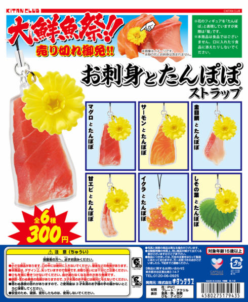 お刺身とたんぽぽ2