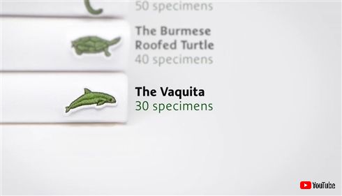 ワニのロゴでおなじみのラコステ、ワニじゃない動物のロゴを発表　絶滅危惧種10種類モチーフ、即完売に