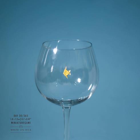 グラスと魚の写真