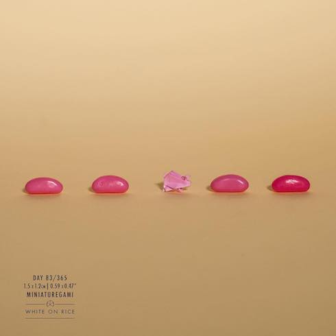 ゼリービーンズとブタの写真