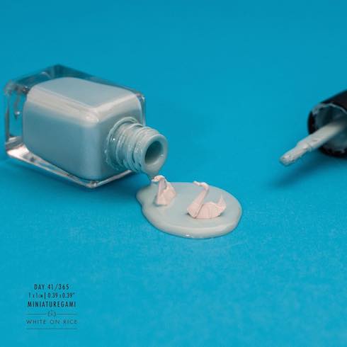 マニキュアと白鳥の写真