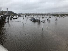 日産スタジアム　新横浜公園　浸水　3月　遊水池　鶴見川