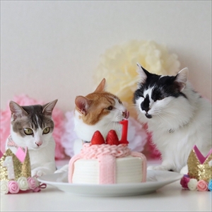 アメカヌちゃん