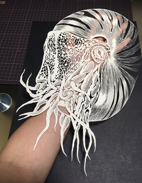 オウムガイ 切り絵