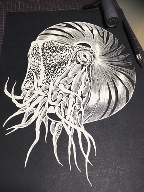 オウムガイ 切り絵