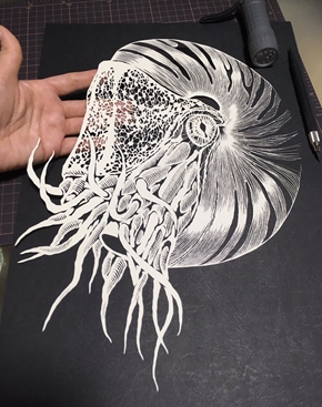 オウムガイ 切り絵