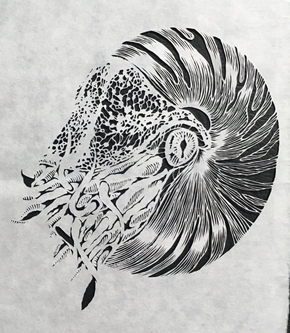 オウムガイ 切り絵