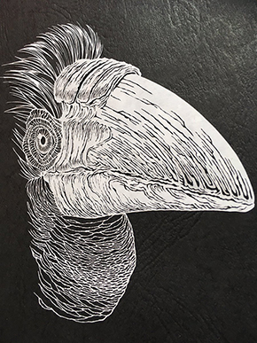 オウムガイ 切り絵