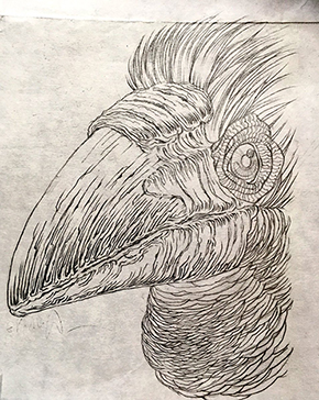 オウムガイ 切り絵