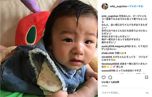 スギちゃん Jr ワイルド Gジャン 癒やし