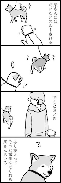 めー語 よしこ パグ