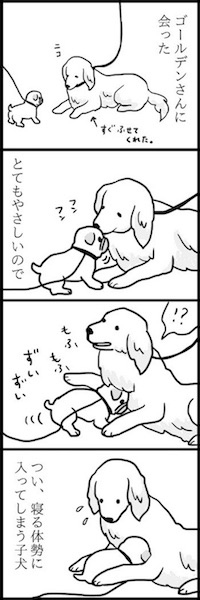 めー語 よしこ パグ