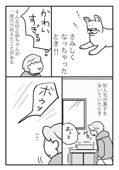 めー語 よしこ フレンチブルドック