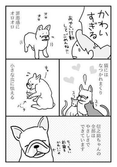 めー語 よしこ フレンチブルドック