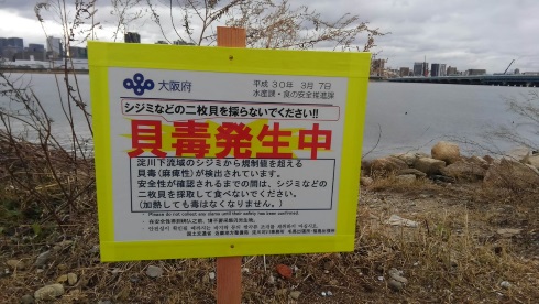 淀川 大阪府 貝毒 アサリ シジミ