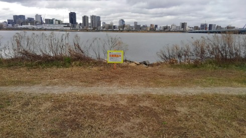 淀川 大阪府 貝毒 アサリ シジミ