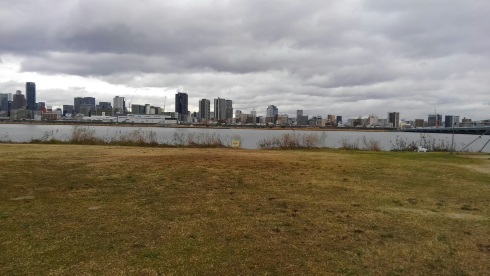 淀川 大阪府 貝毒 アサリ シジミ