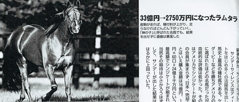 種馬の人生